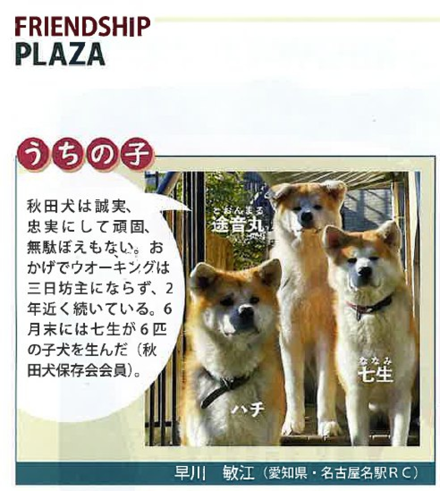 名古屋名駅RC 早川敏江会員の秋田犬がFRIENDSHI PLAZAにて紹介されました。